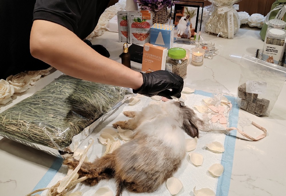 宠物去世后，有相关的火化服务吗？