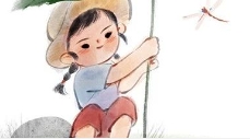 《在“终沐”，让宠物的生命告别成为一场温暖的纪念诗》