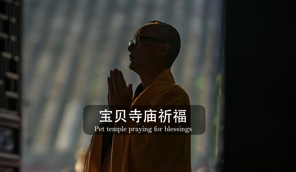 终沐宠物善终，让爱宠有尊严的离开 ​