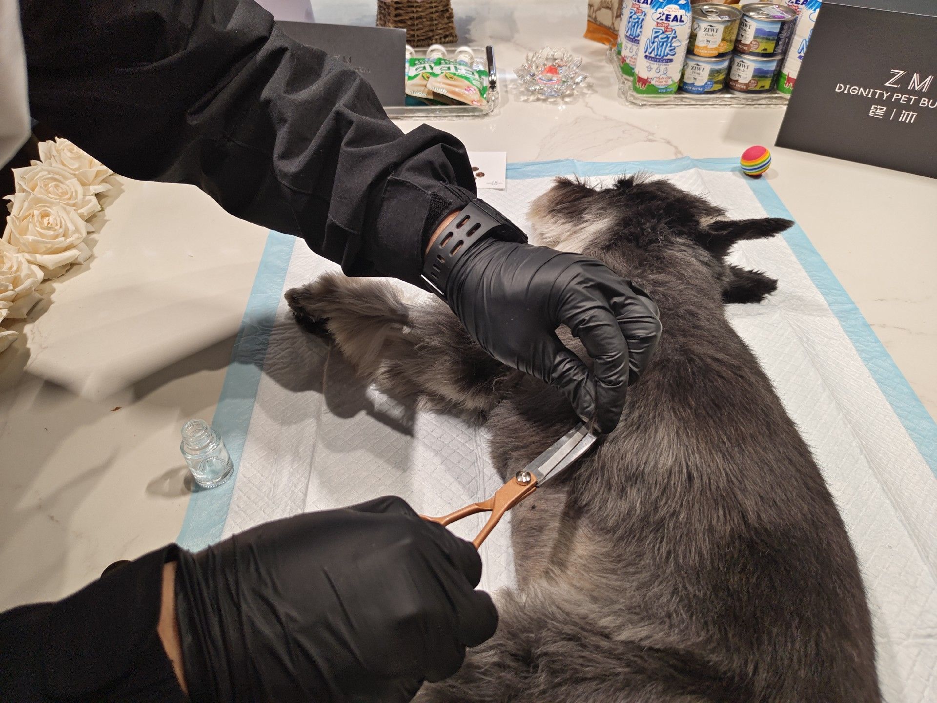 1749623311201909.jpg 微信图片_20250105173944.jpg