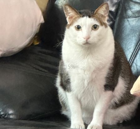 1750088252199302.jpg 微信截图_20250616233634.jpg