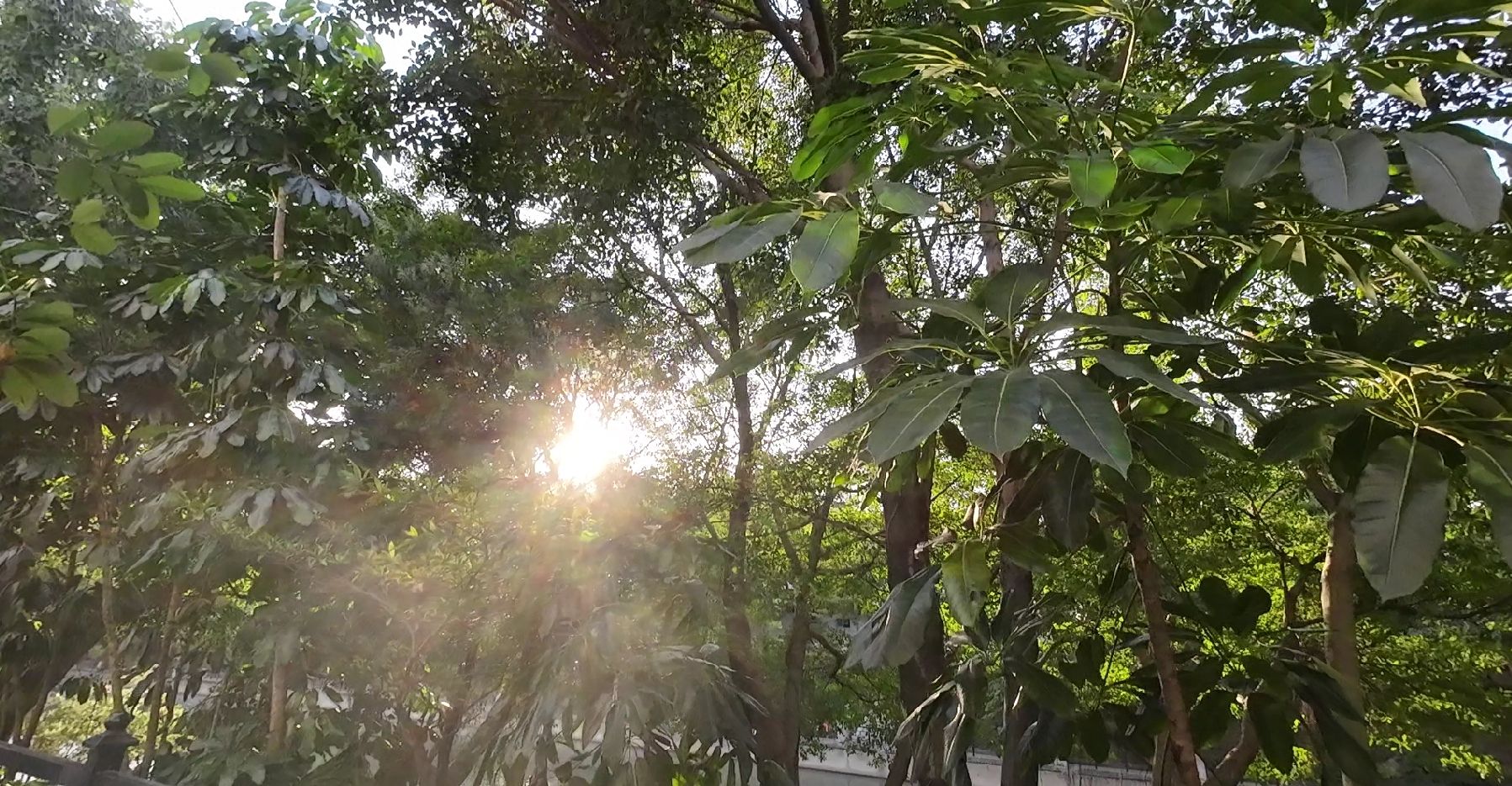 1750088421133229.jpg 微信截图_20250616233959.jpg