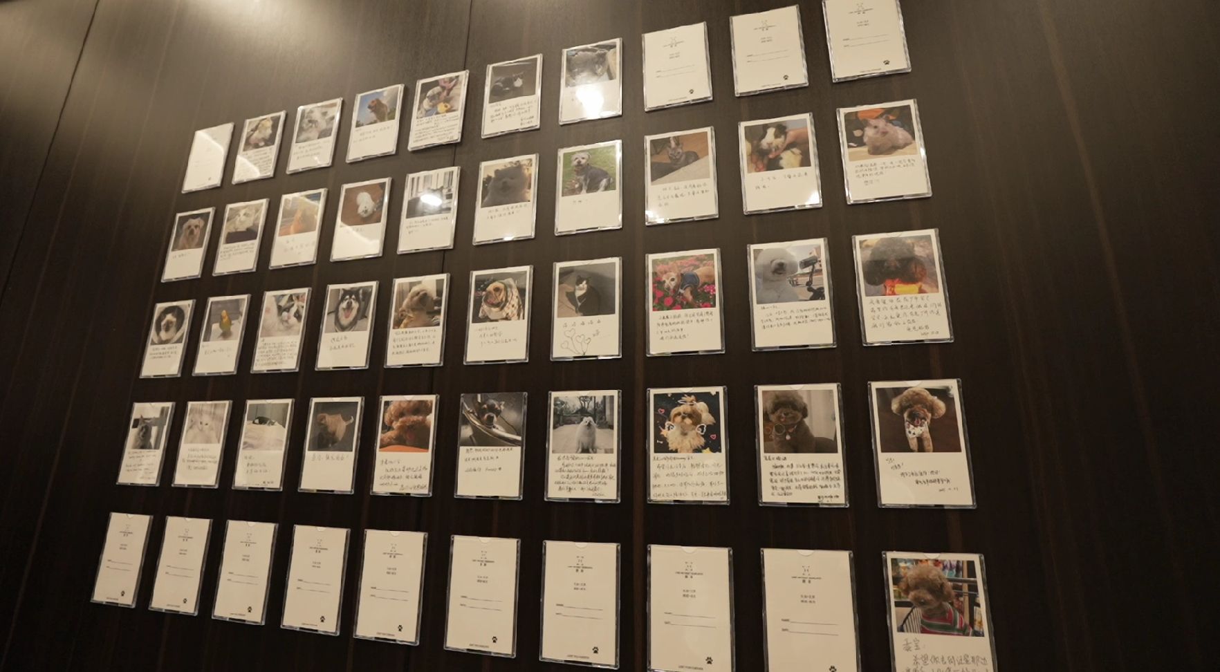 1751421143131467.jpg 微信截图_20250618144425.jpg