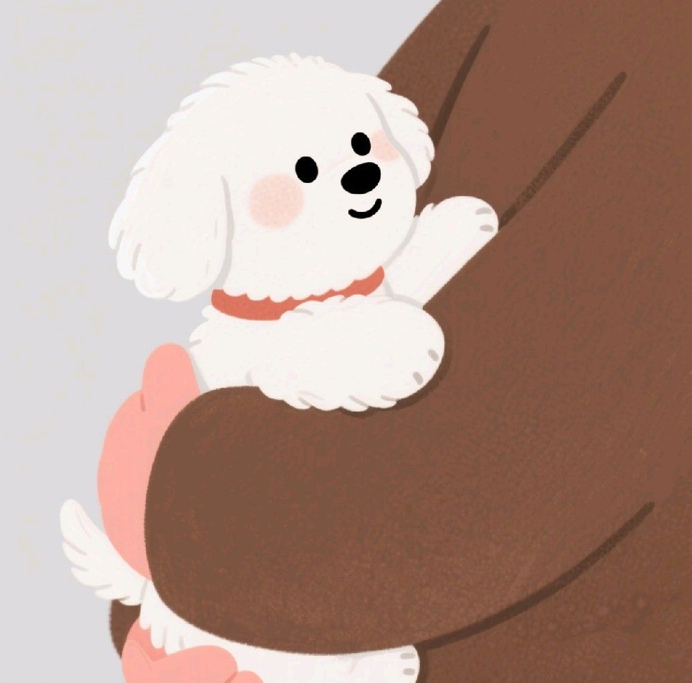 别再这样抱狗狗了!