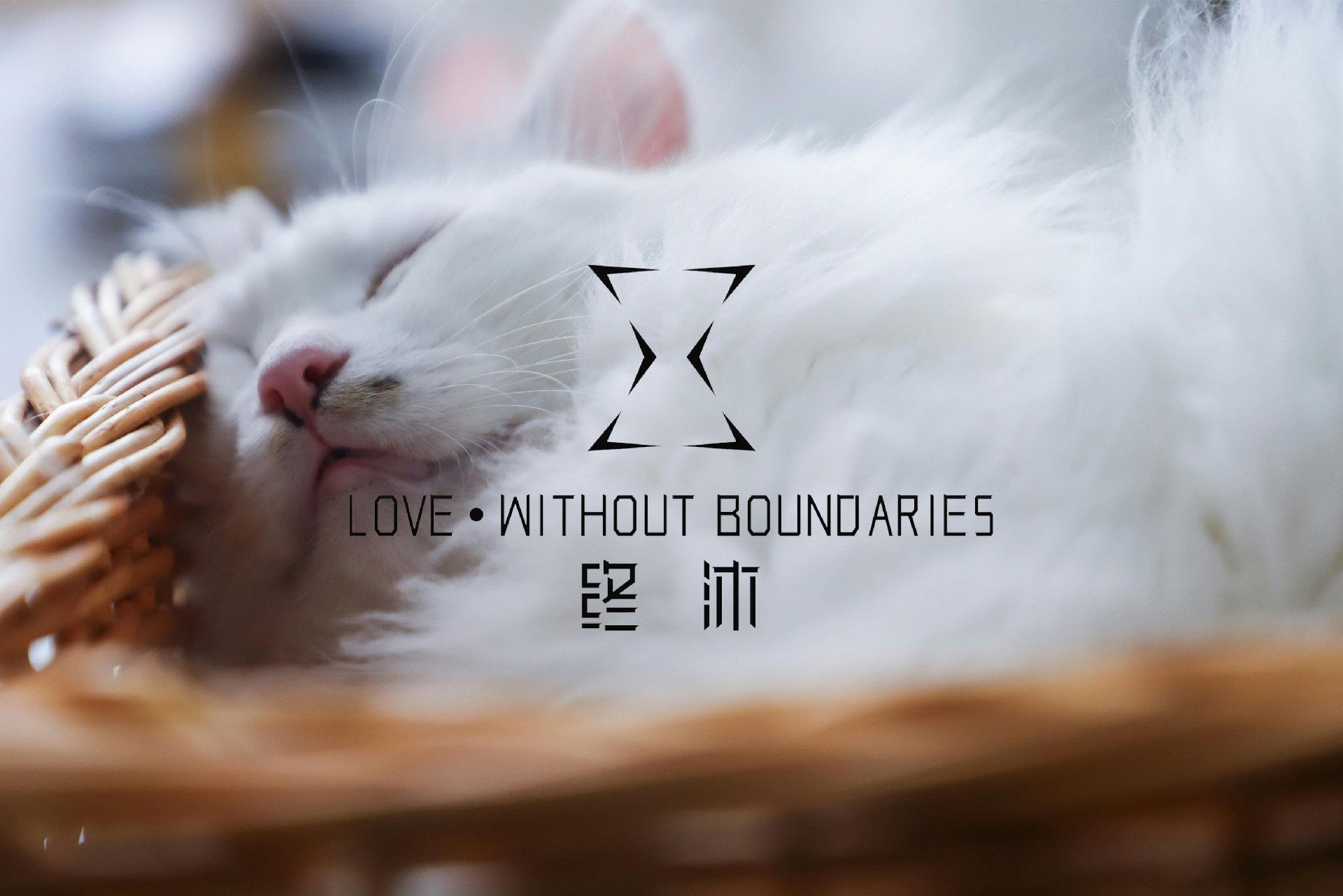 1752829884183033.jpg 1.jpg