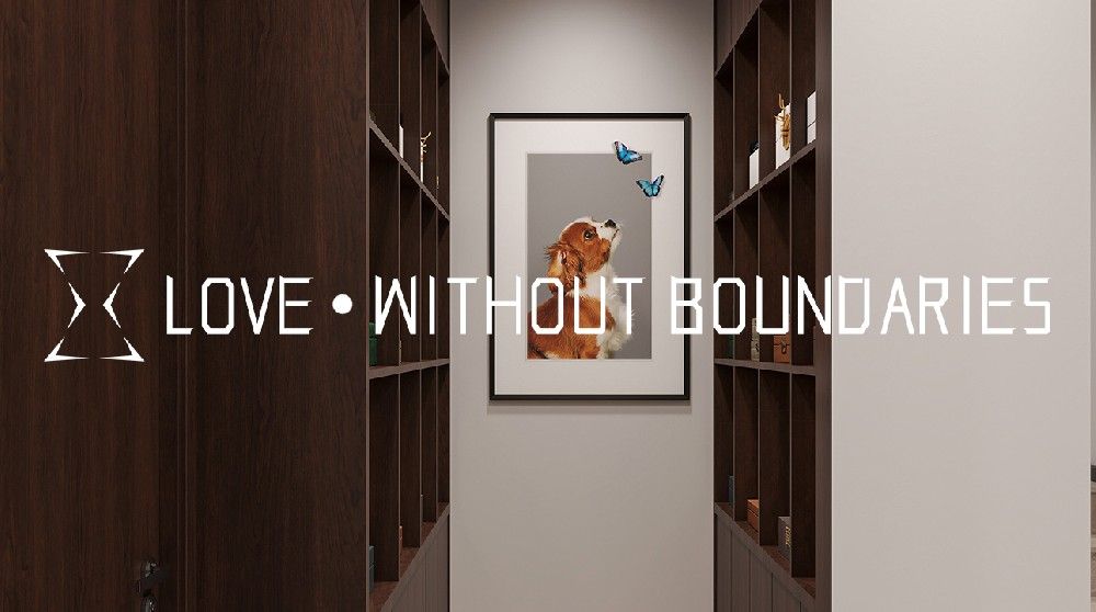 宠物殡葬行业:慢下来的信任生意