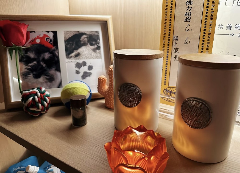 这个宠物殡葬品牌凭什么脱颖而出?