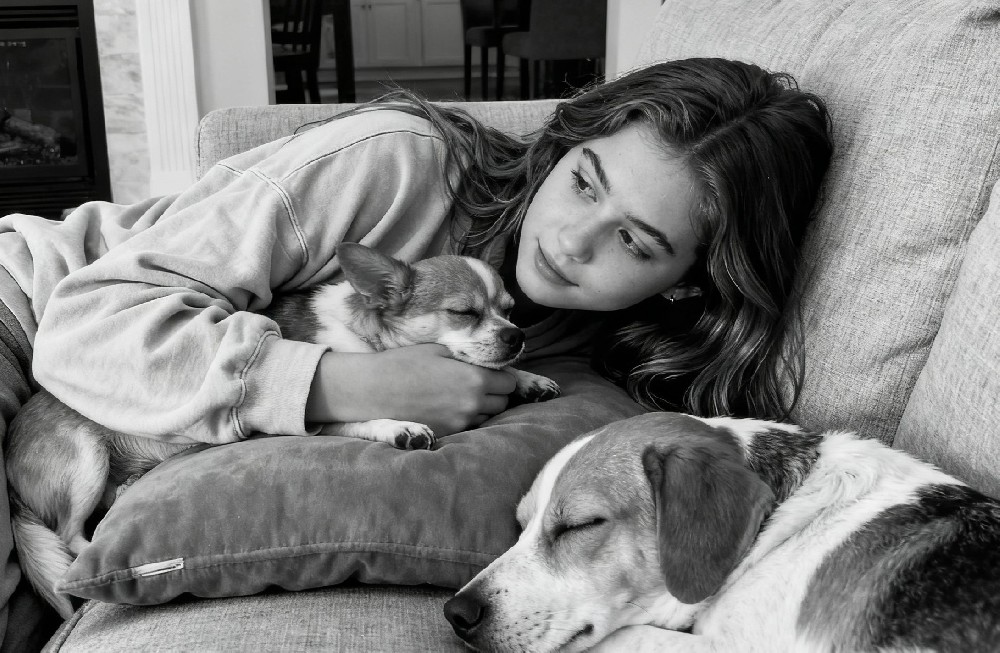 终沐是如何“搅局”中国的宠物殡葬行业的?