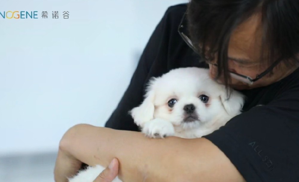 当生命科学邂逅挚爱伙伴,我们开启「生命延续」的全新篇章