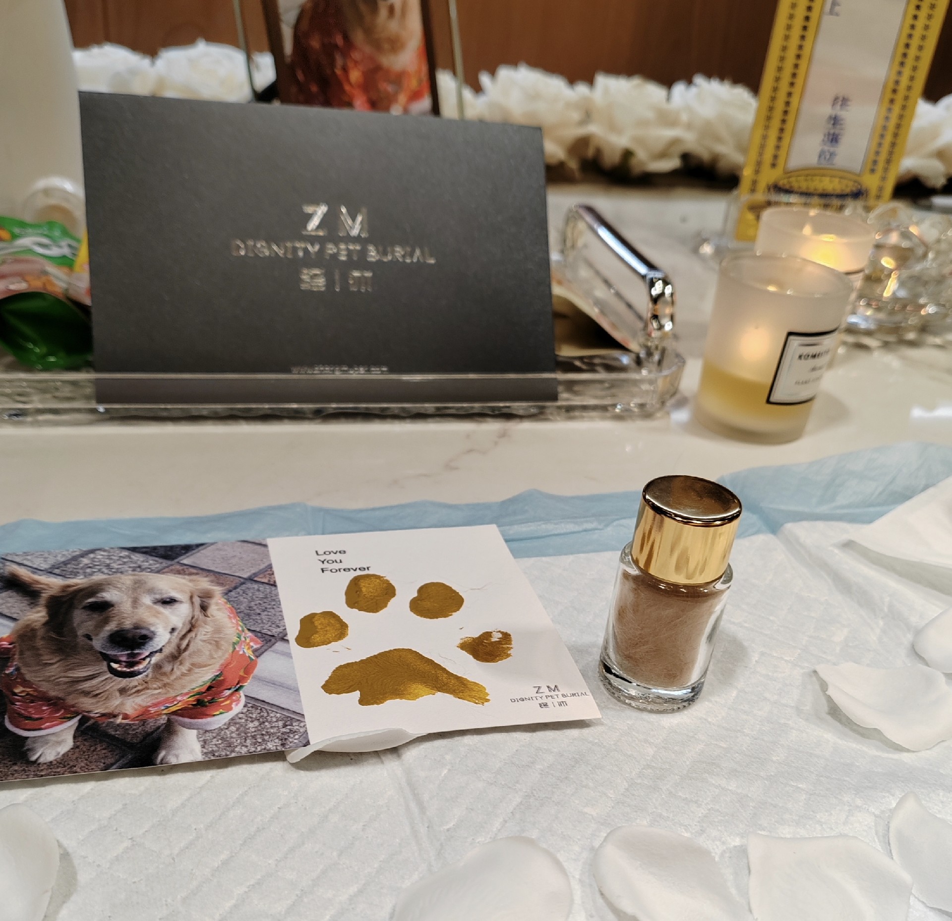 1764576263508491.jpg 微信图片_20250105180025.jpg