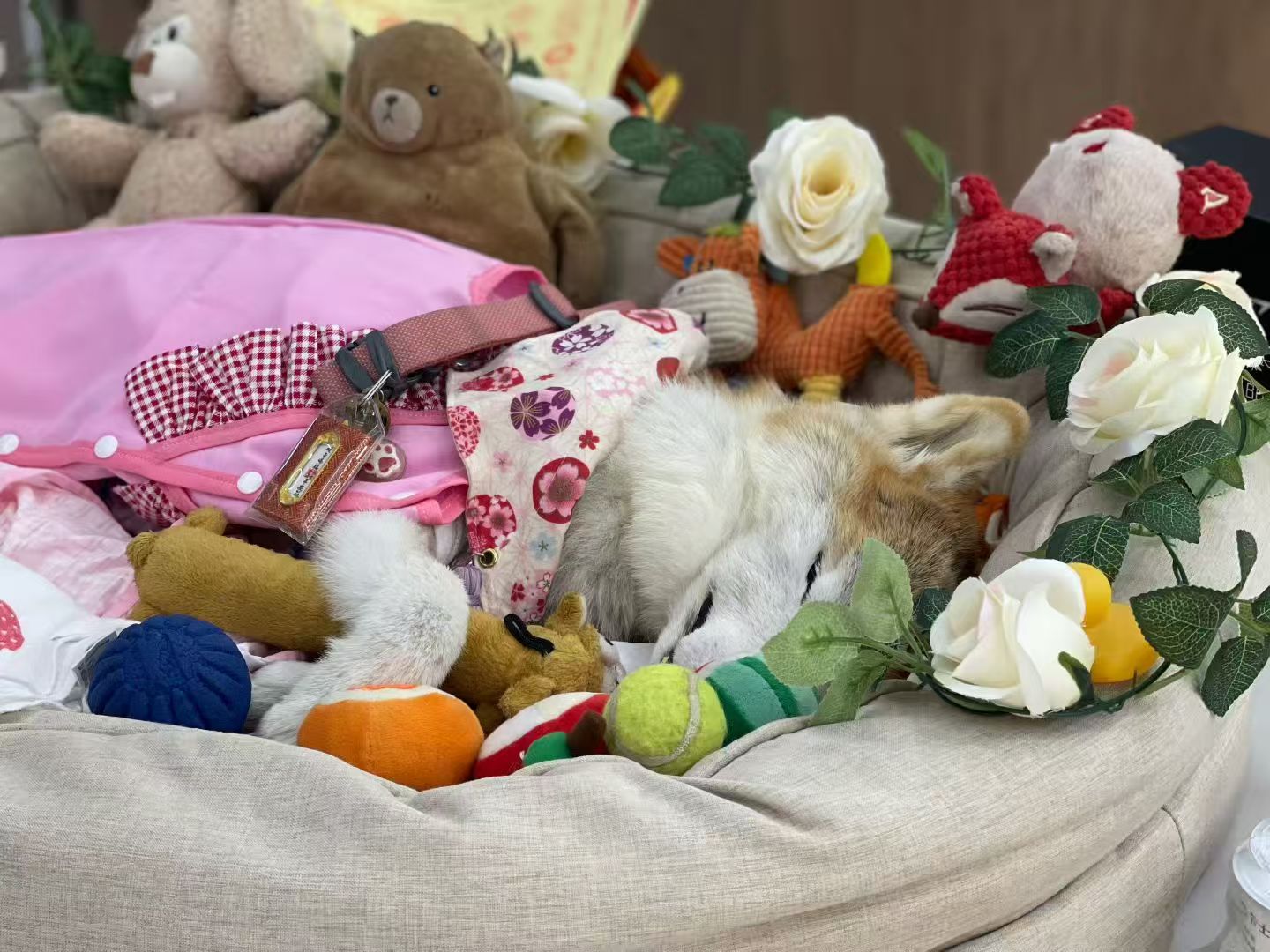 1765161046123082.jpg 微信图片_20251014095008_923_2.jpg