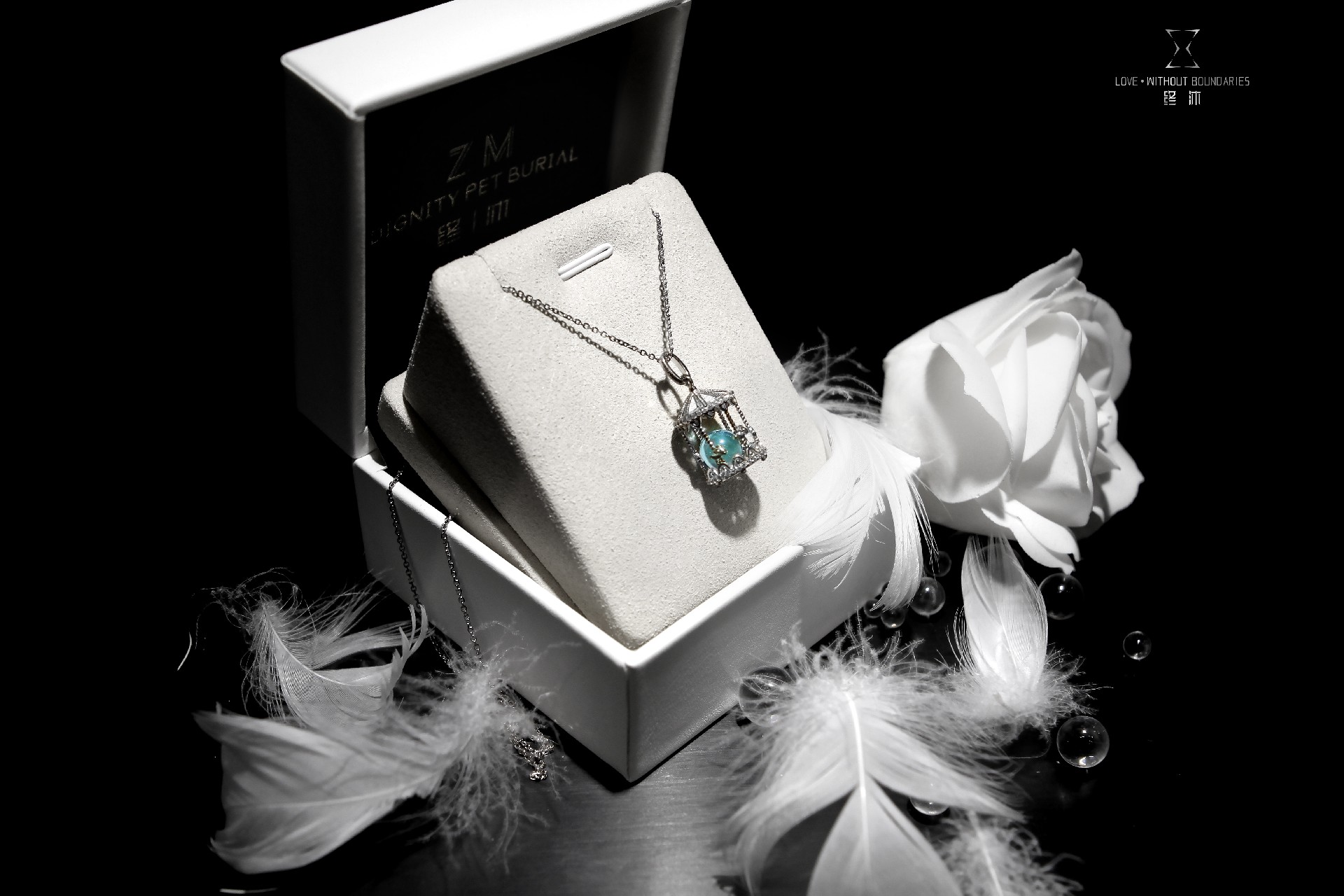 1765161972203496.jpg 8.jpg