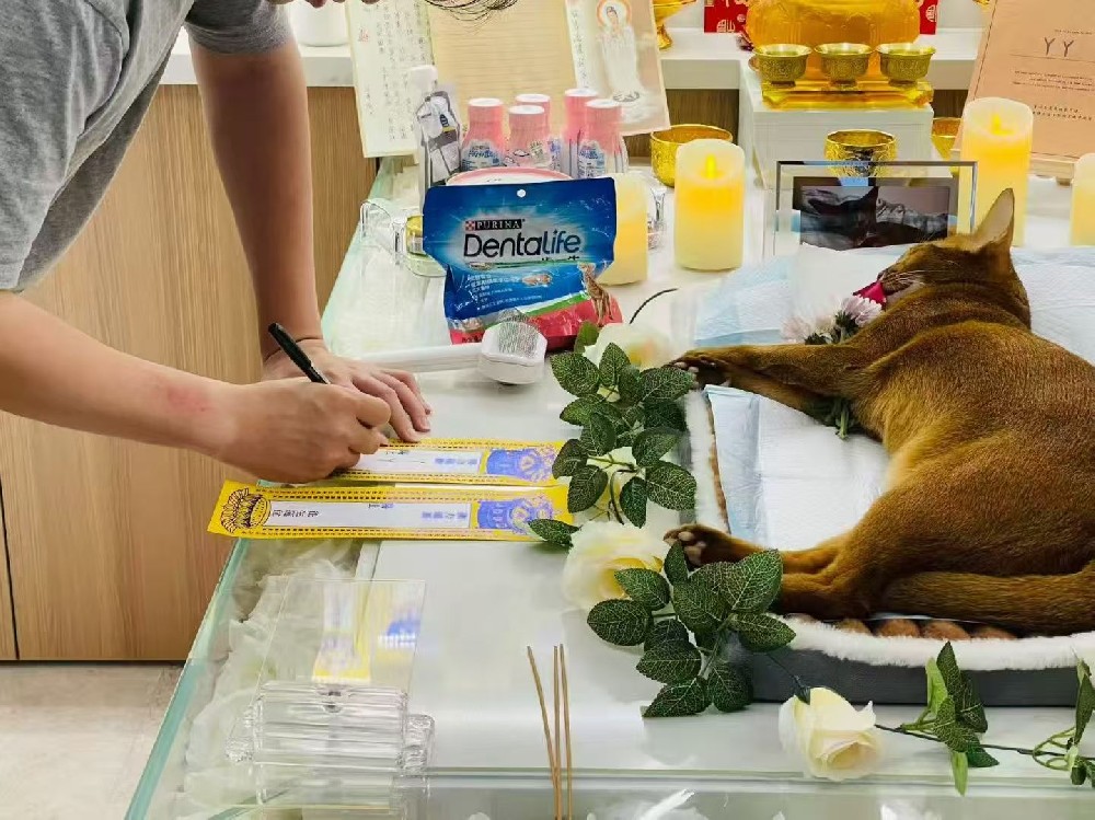 当离别有了温度:「终沐」如何引领我们学会好好说再见