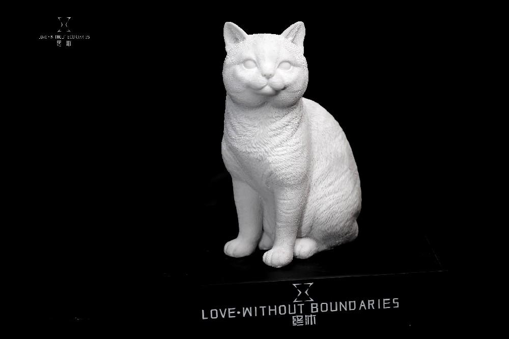 最后的路,有光|一个宠物善终店员的记事本